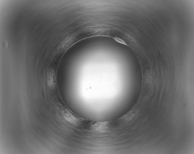 X0000062670138200512211345