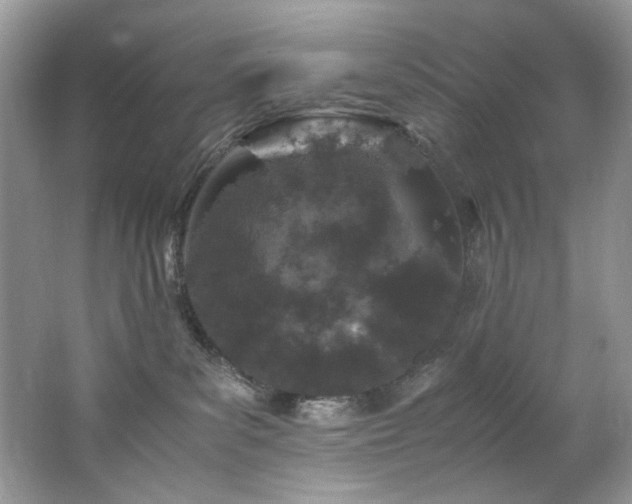 X0000062670139200512211345