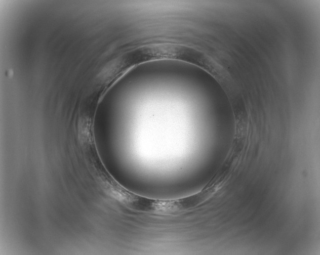 X0000062670141200512211345