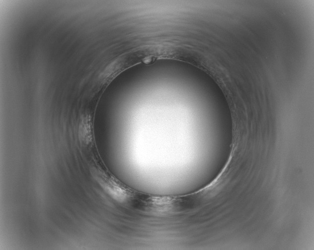 X0000062670144200512211345