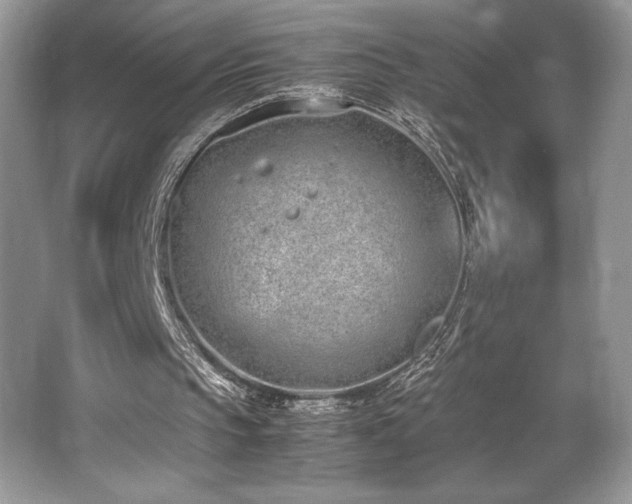 X0000062670145200512211344