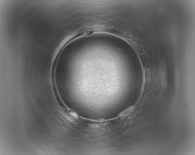 X0000062670147200512211344