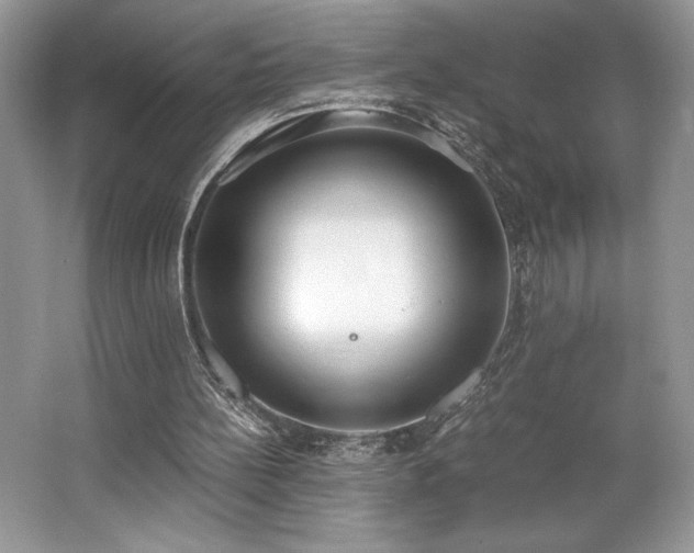 X0000062670148200512211344