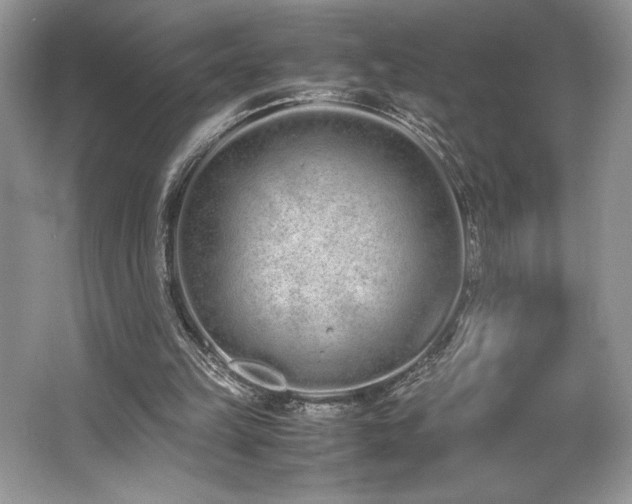 X0000062670149200512211344