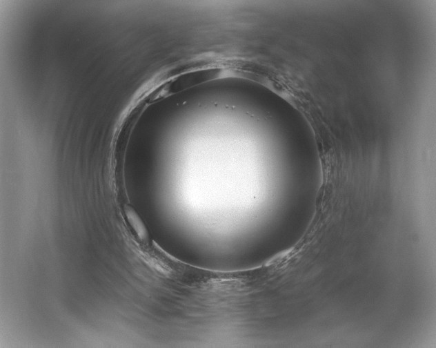 X0000062670150200512211344