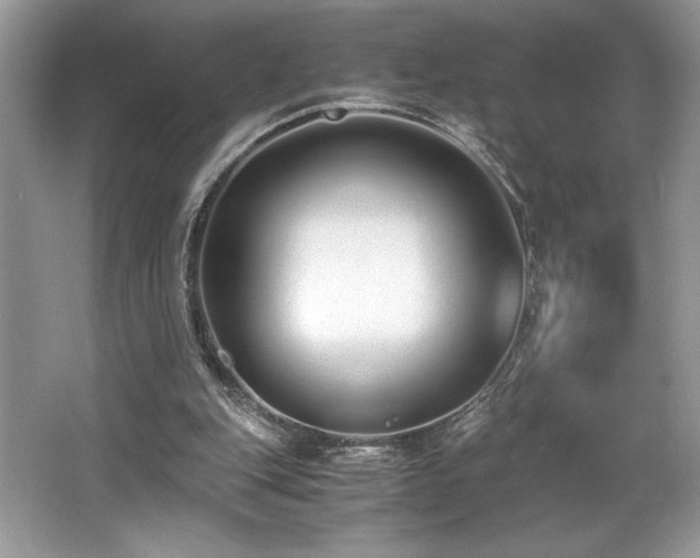 X0000062670151200512211344