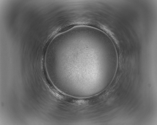 X0000062670153200512211344