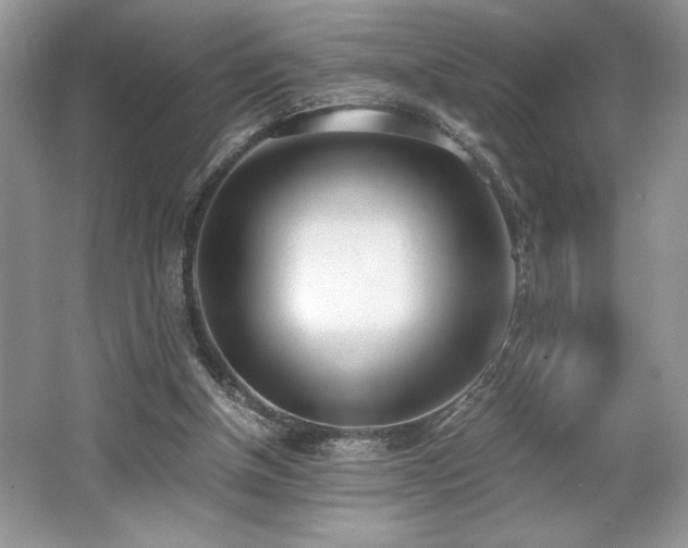 X0000062670154200512211344