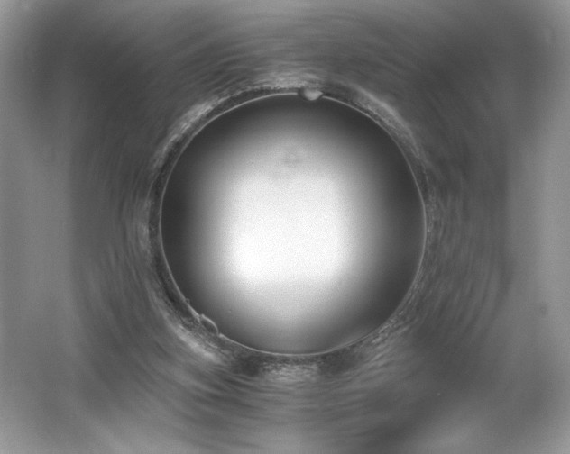 X0000062670155200512211344