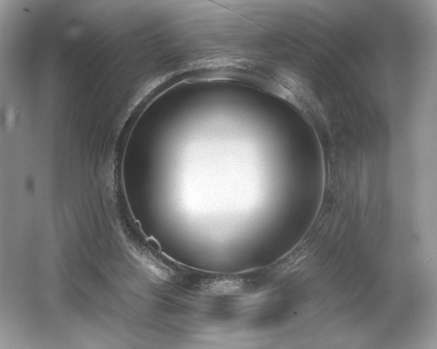 X0000062670156200512211344