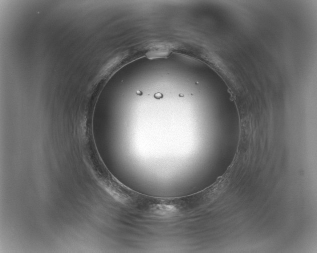 X0000062670159200512211344