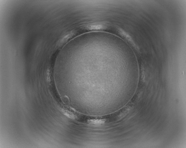 X0000062670161200512211344