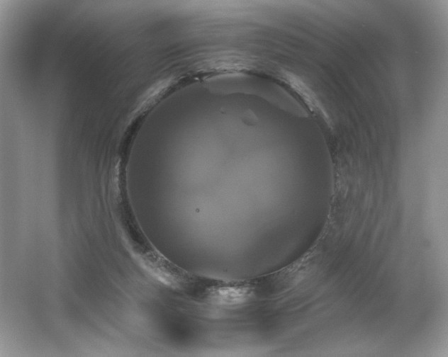 X0000062670163200512211344