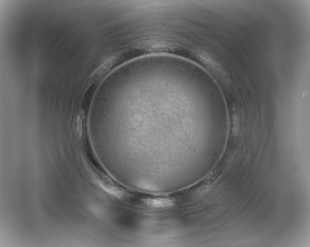 X0000062670165200512211344