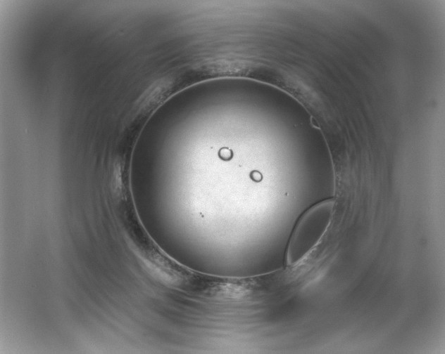 X0000062670166200512211344