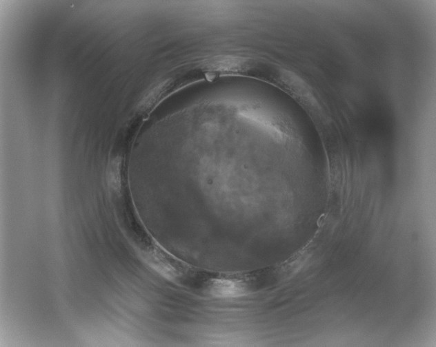 X0000062670167200512211345