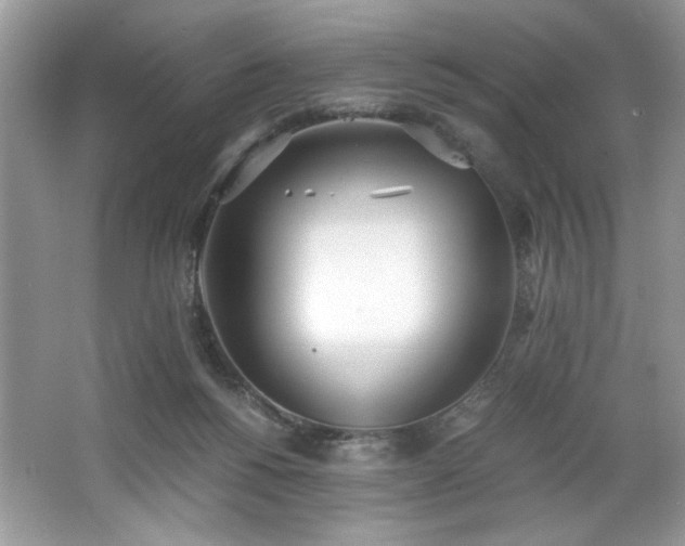 X0000062670168200512211345