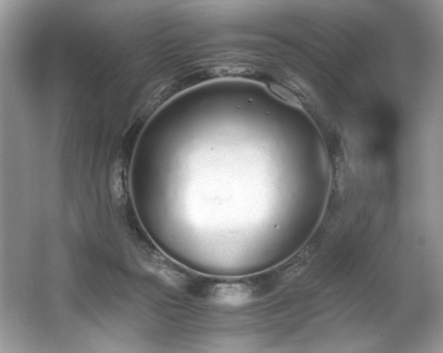 X0000062670169200512211345