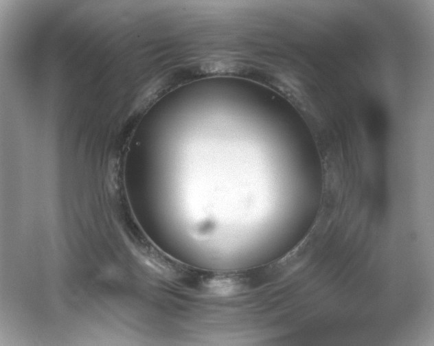 X0000062670171200512211345