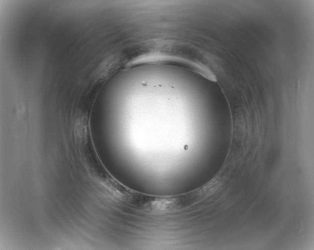 X0000062670172200512211345