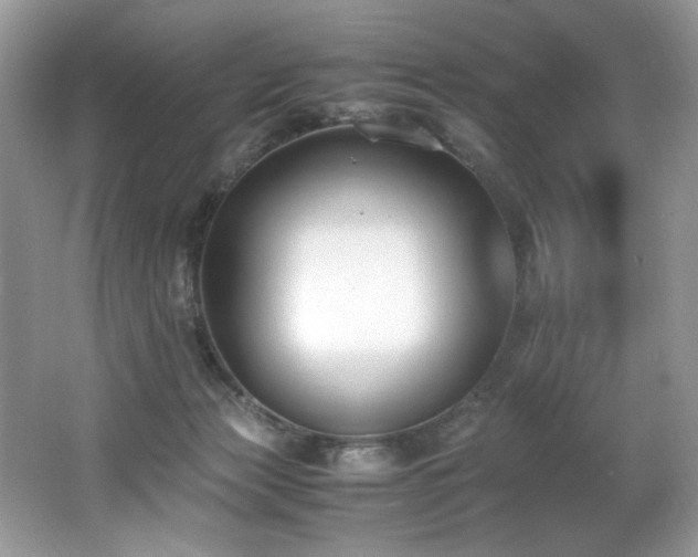 X0000062670173200512211345