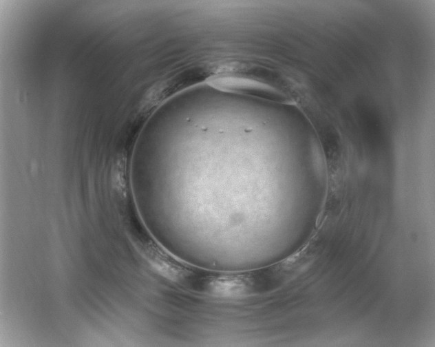 X0000062670175200512211345