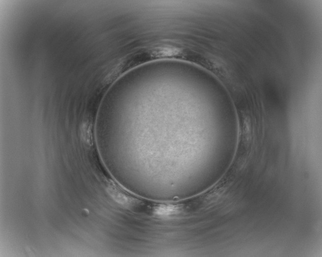 X0000062670177200512211345