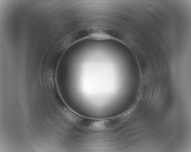 X0000062670178200512211345