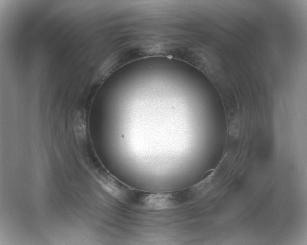 X0000062670179200512211345