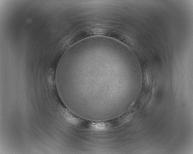 X0000062670181200512211345