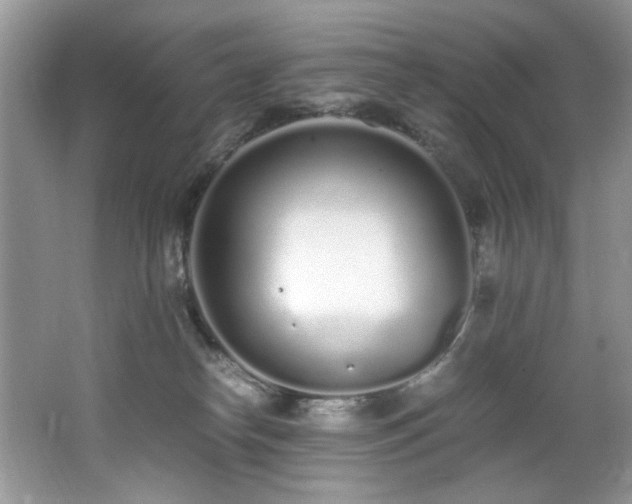 X0000062670182200512211345