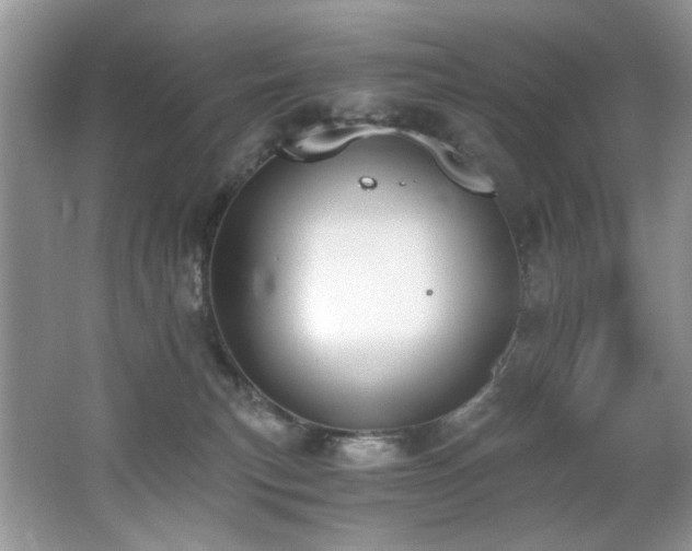 X0000062670183200512211345