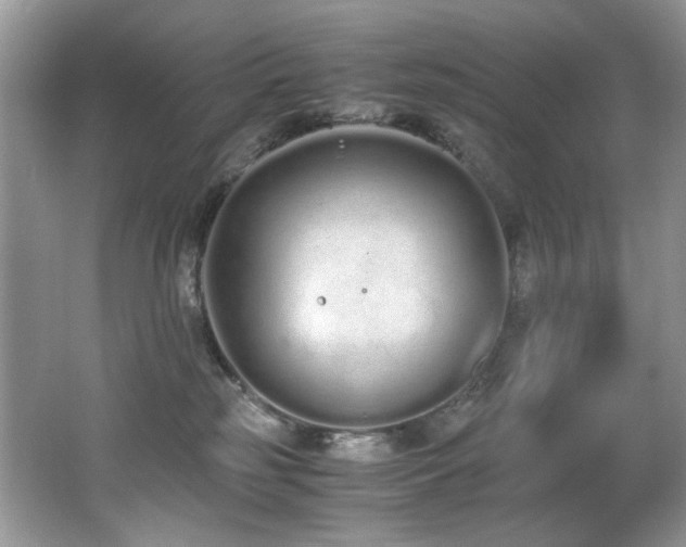 X0000062670185200512211345