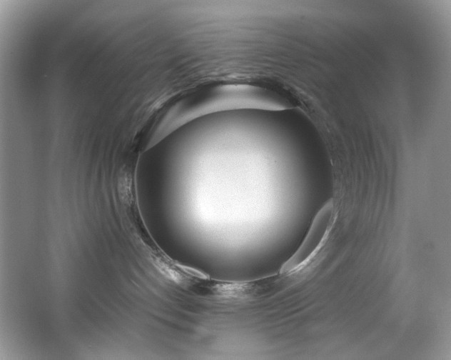 X0000062670192200512211345