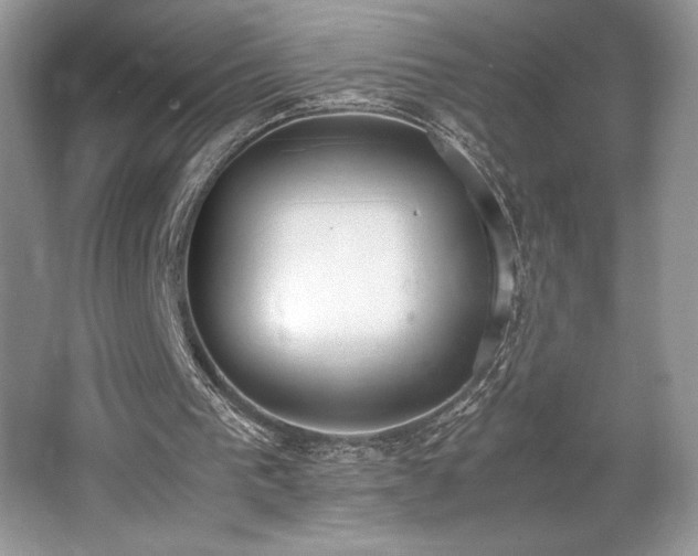 X0000062670193200512211344