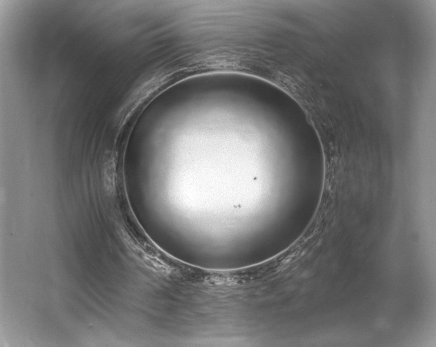 X0000062670194200512211344