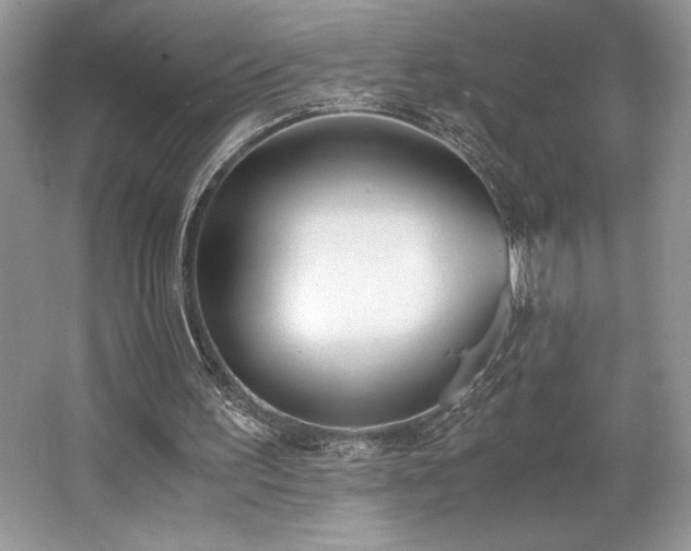 X0000062670195200512211344