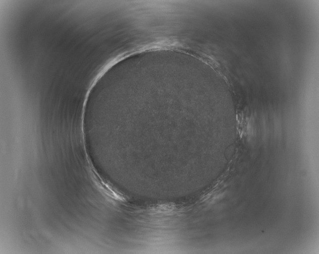 X0000062670196200512211344