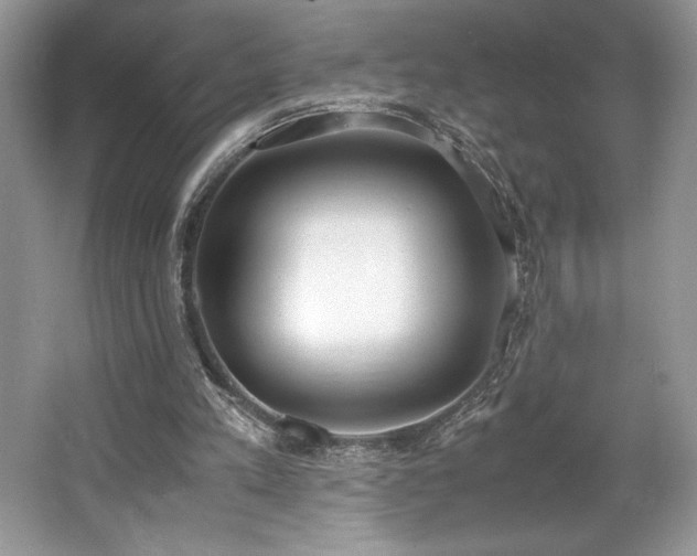 X0000062670197200512211344