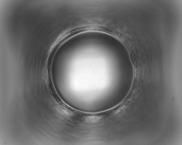 X0000062670198200512211344