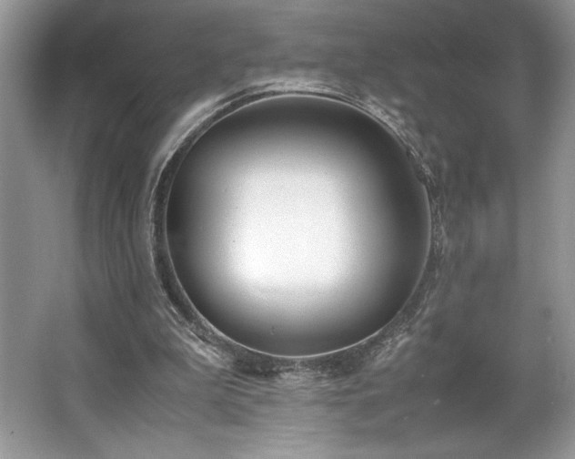 X0000062670199200512211344