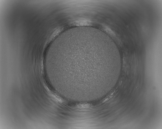 X0000062670202200512211344