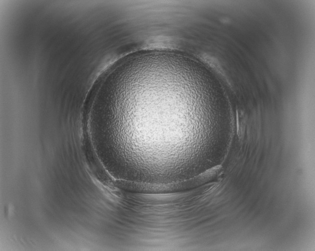 X0000062670204200512211344