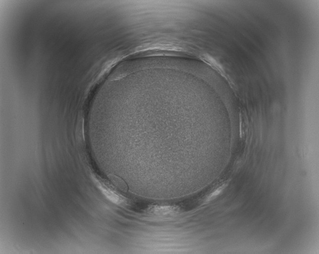 X0000062670205200512211344