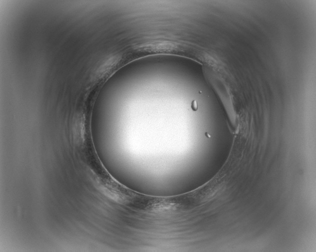 X0000062670206200512211344