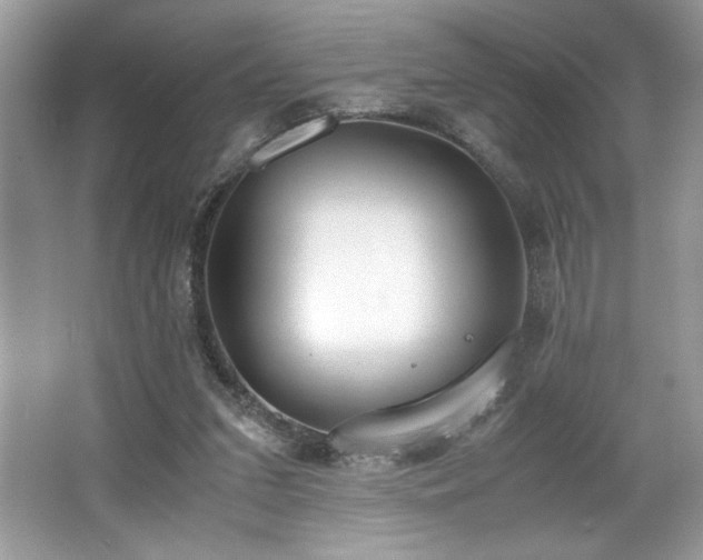 X0000062670207200512211344