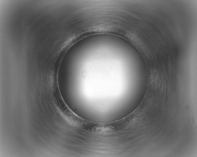 X0000062670208200512211344