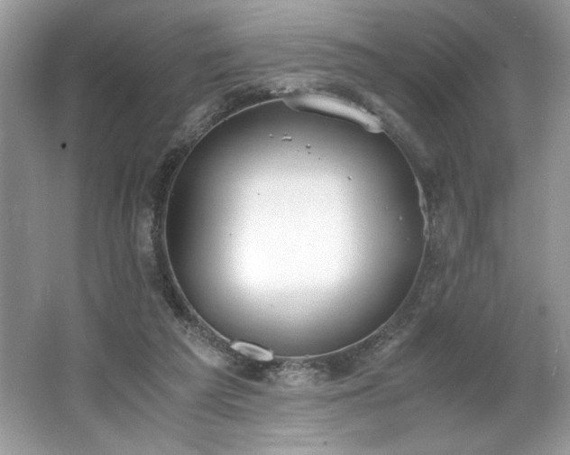 X0000062670209200512211344