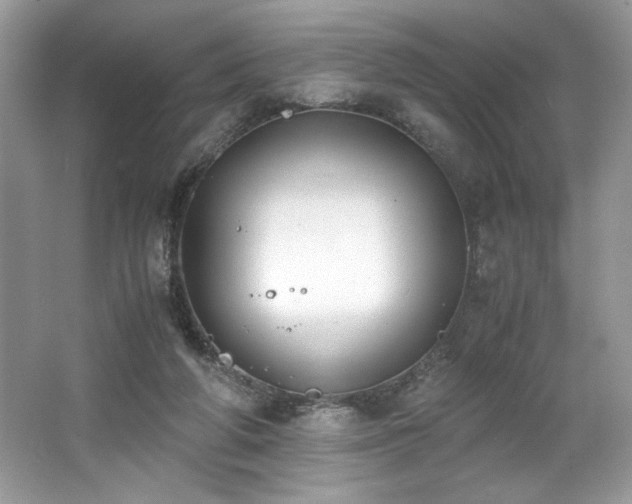 X0000062670210200512211344