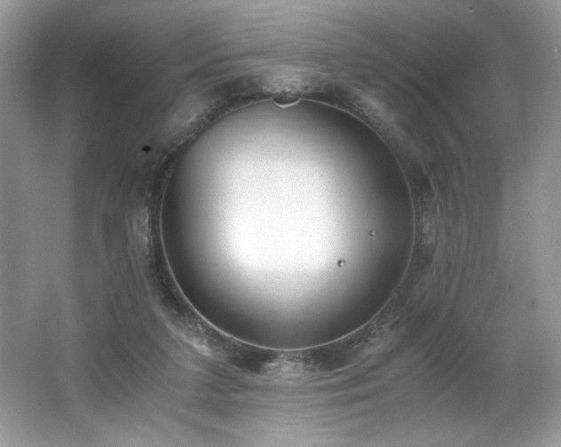 X0000062670211200512211344